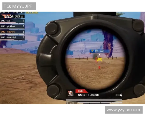 猛龙与勇士激战正酣解说员带你领略精彩瞬间与战术解析