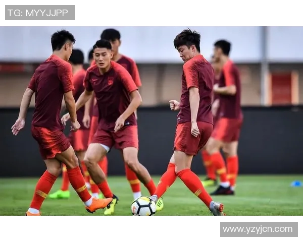 中国队对阵伊朗队里皮执教下的战术较量与球队表现分析