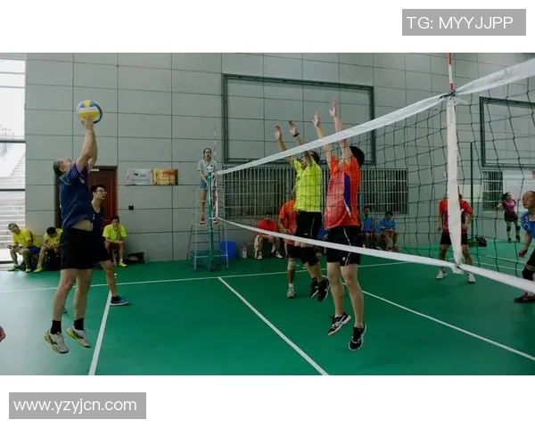 杭州排球队节奏创新高引领全国排球节奏排名新潮流