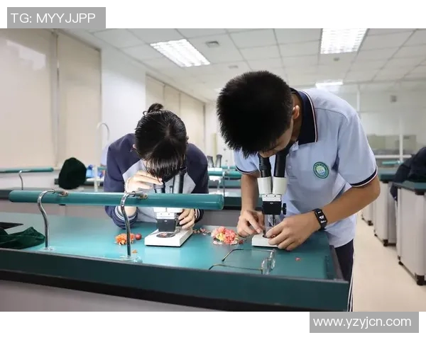 罗凯文的成长之路与奋斗精神探秘人生的无限可能与挑战 罗凯文的成长之路与奋斗精神探秘人生的无限可能与挑战