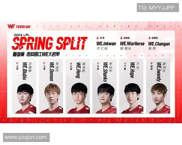 WE战队灵活性引发热议分析与争议背后的深层原因探讨