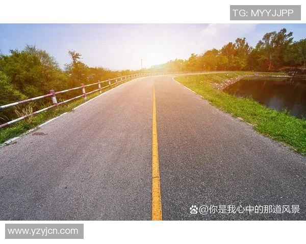 攀岩人生的高峰与低谷陈秀英的奋斗与坚持之路